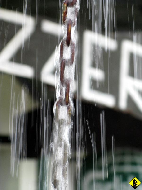 foto 118.jpg - W Piwnicznej zamawiamy pizzę i nadchodzi mega ulewa! Muchy opuszczają "Decathlon Boy'a". Druga chwila zwątpienia wlewa się w nasze serca... Zjadamy pizzę i przestaje lać. No pięknie. Decydujemy się wrócić do S.Sącza terenem przez Przeł. bukowinę i Wilcze Doły. To kawał drogi, ale może się udać...